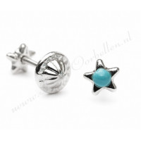 Zilveren Babyoorbellen Ster blauwe parel