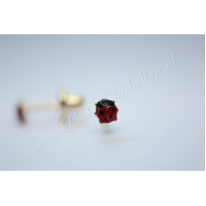 Gouden Babyoorbellen mini lieveheersbeestje rood
